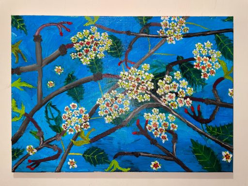 Prunus X yedoensis 04 Finished in 2025