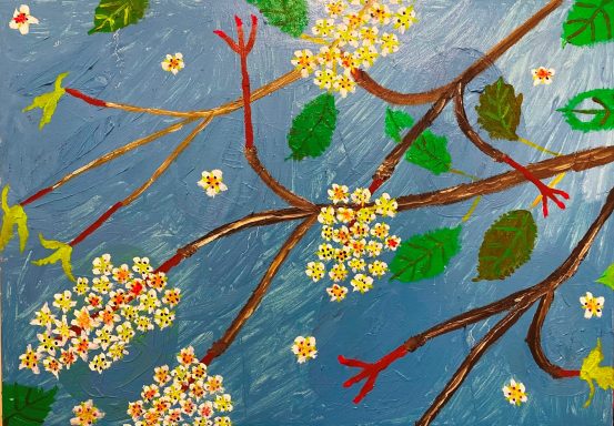Prunus X yedoensis 02 Finished in 2025