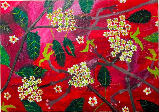 Prunus X yedoensis 05 Finished in 2025