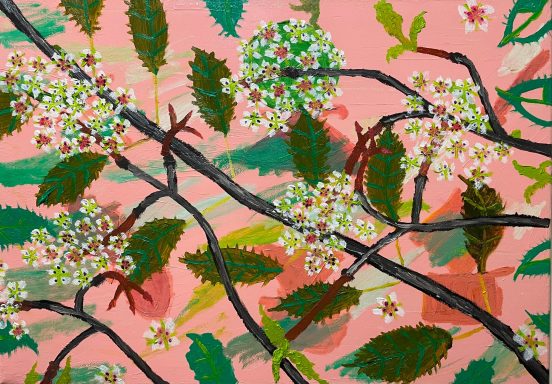 Prunus X yedoensis 03 Finished in 2025